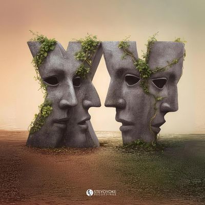 Various — Steyoyoke Anniversary, Vol. 15 2x12" vinyl cover