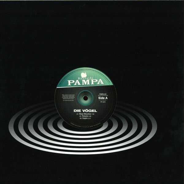 Die Vögel — Blaue Moschee vinyl cover