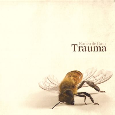 Banco De Gaia — Trauma LP vinyl cover