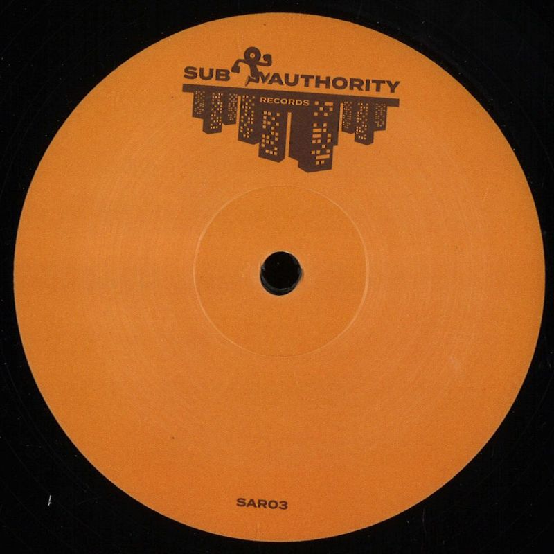 Reale, Vincent Xxi — Destiny Of Soul vinyl cover