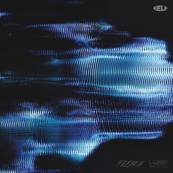 optmst — Flux vinyl cover