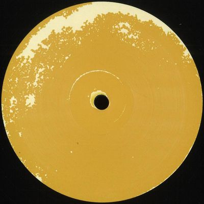 Ltj, Chris (Ltj Xperience, Christian Lisi) — DO IT STRONG vinyl cover