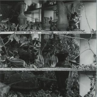 Windy, Carl With Optigan Conservatory — Windy & Carl Meet Optigan Conservatory LP vinyl cover