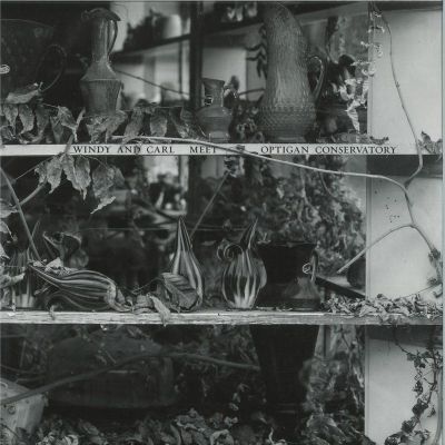 Windy, Carl With Optigan Conservatory — Windy & Carl Meet Optigan Conservatory LP vinyl cover