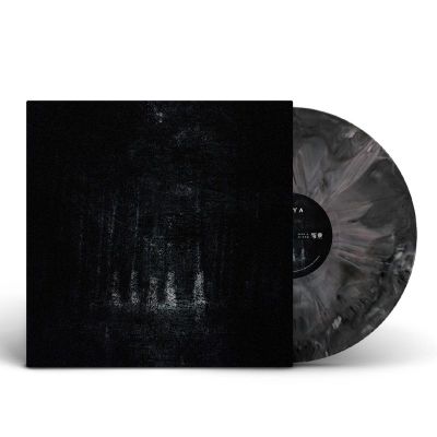 Pouya — Pouya LP vinyl cover