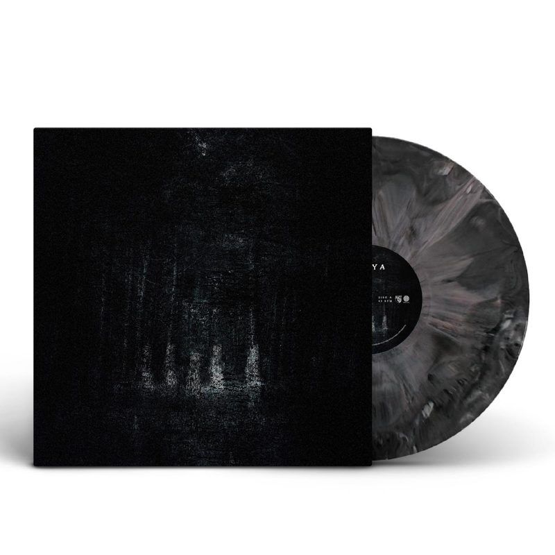 Pouya — Pouya LP vinyl cover