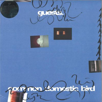 Guests — Common Domestic Bird LP vinyl cover