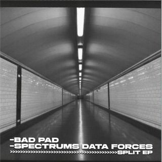 Bad Pad, Spectrums Data Forces — Split EP vinyl cover