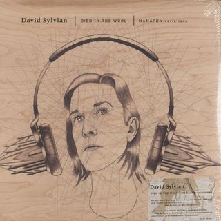 David Sylvian — Died In The Wool (Manafon Variations) LP 2x12" vinyl cover