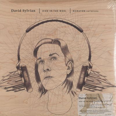 David Sylvian — Died In The Wool (Manafon Variations) LP 2x12" vinyl cover