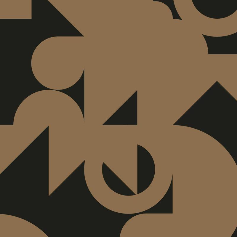 wanek, dietmar, välth, siili — nomind 001 vinyl cover