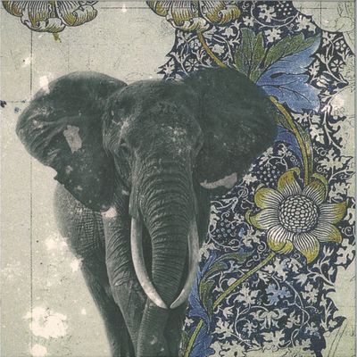 Sindaco — Spiritual Safari vinyl cover