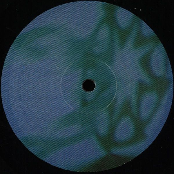 Twovi — Nocturnal Rites vinyl cover