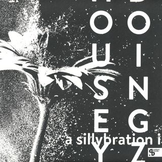 Housey Doingz — A Sillybration I vinyl cover
