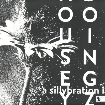 Housey Doingz — A Sillybration I vinyl cover