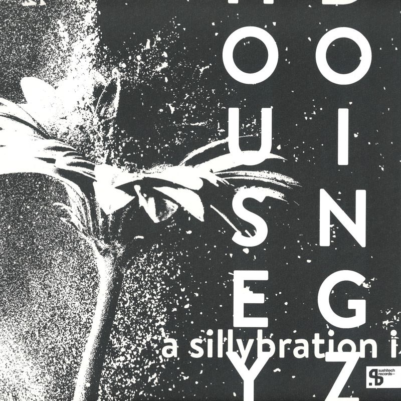 Housey Doingz — A Sillybration I vinyl cover