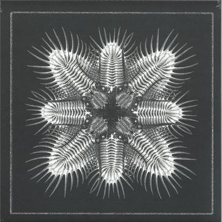Various Artists — 10 (LP) vinyl cover