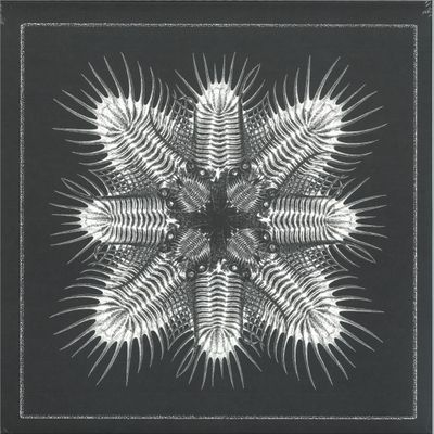 Various Artists — 10 (LP) vinyl cover