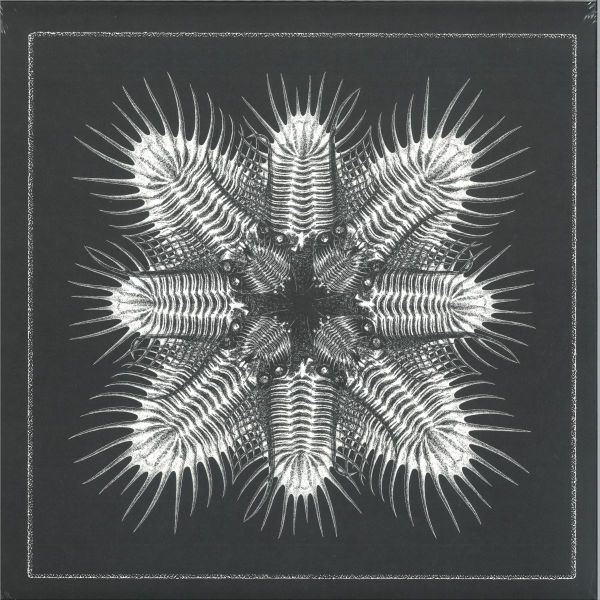 Various Artists — 10 (LP) vinyl cover