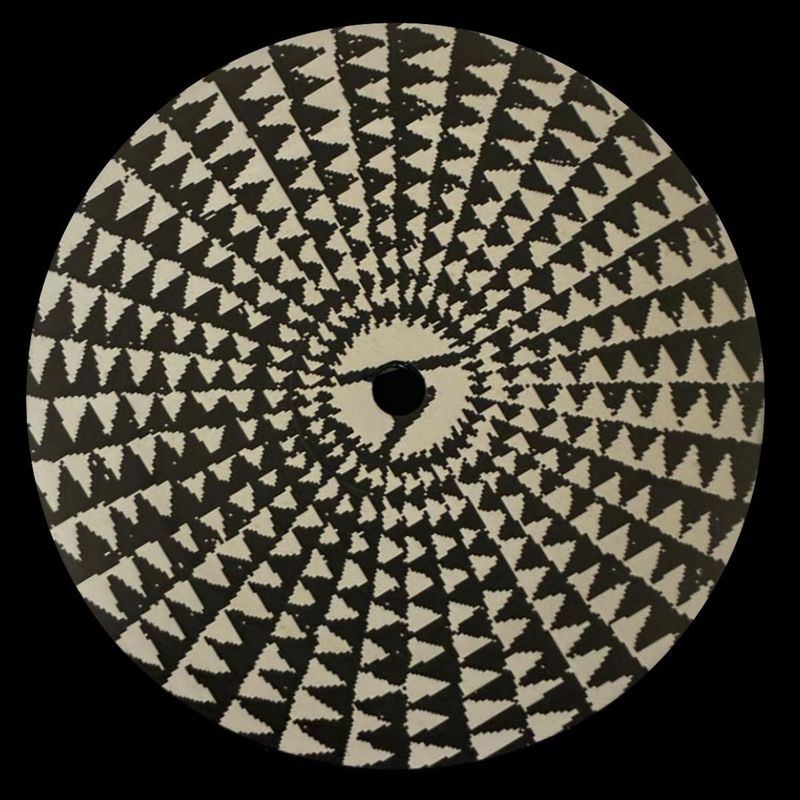 TMRS (Todd Modes, Ryan Spencer) — Zebra 003 vinyl cover