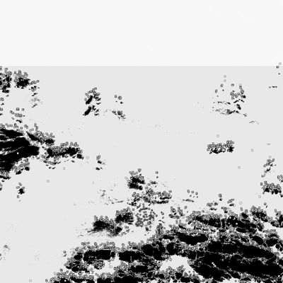 Bot1500 — The Black Sea LP vinyl cover