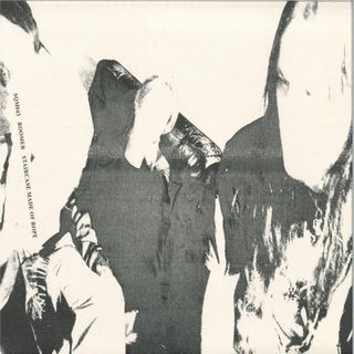 Roomer — Staircase Made of Rope (LP) vinyl cover
