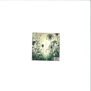 Devianza — Le Piante di Elena vinyl cover