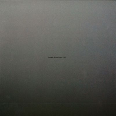 Einka, Terrence Dixon — Void vinyl cover