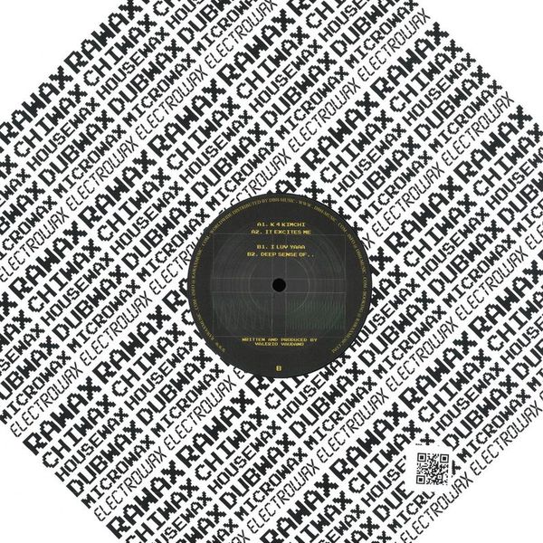 Valerio Vaudano — The Sampling Theory Pt. 1 vinyl cover