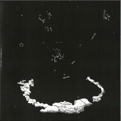 Saiph — Leaving The Past vinyl cover