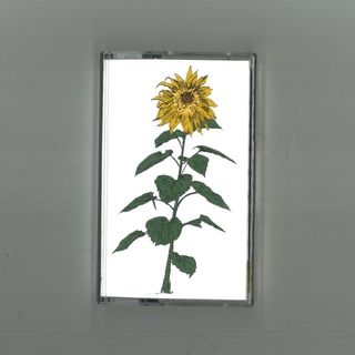 Brian d'Souza, Auntie Flo — Music To Watch Seeds Grow By 007: Brian d'Souza (Sunflowers) vinyl cover