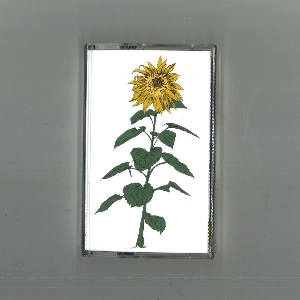 Brian d'Souza, Auntie Flo — Music To Watch Seeds Grow By 007: Brian d'Souza (Sunflowers) vinyl cover