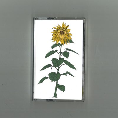 Brian d'Souza, Auntie Flo — Music To Watch Seeds Grow By 007: Brian d'Souza (Sunflowers) vinyl cover