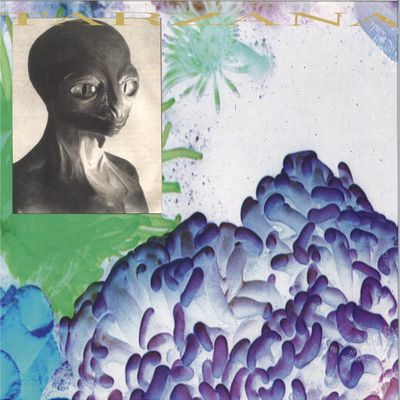 Tarzana, Sun Araw — AQUA X: Super Coracle / Tarzana Split' vinyl cover