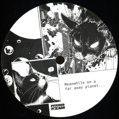 Darwin Chamber — Cat Daddy vinyl cover