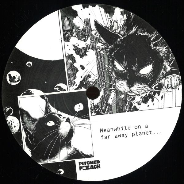 Darwin Chamber — Cat Daddy vinyl cover