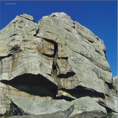 Pub — Process The Wise LP vinyl cover