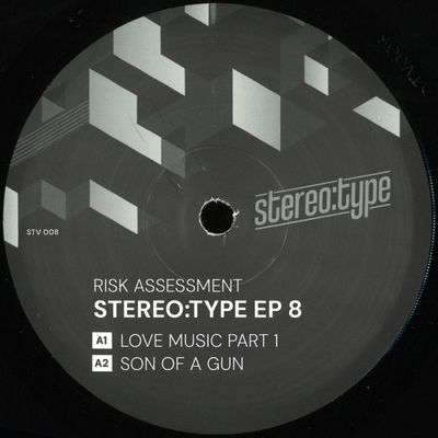 Risk Assessment — Stereo:type EP 8 vinyl cover