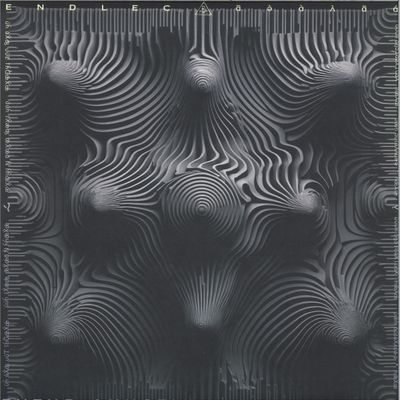 Endlec — Futur Akustik vinyl cover