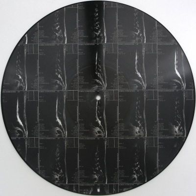 G76 — L5S1 vinyl cover