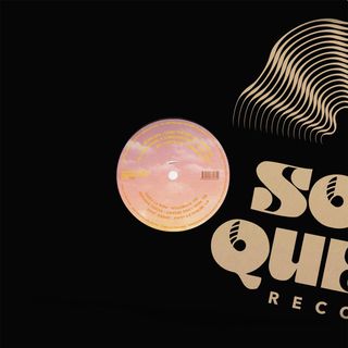 Various — Maintain Altitude 2 vinyl cover