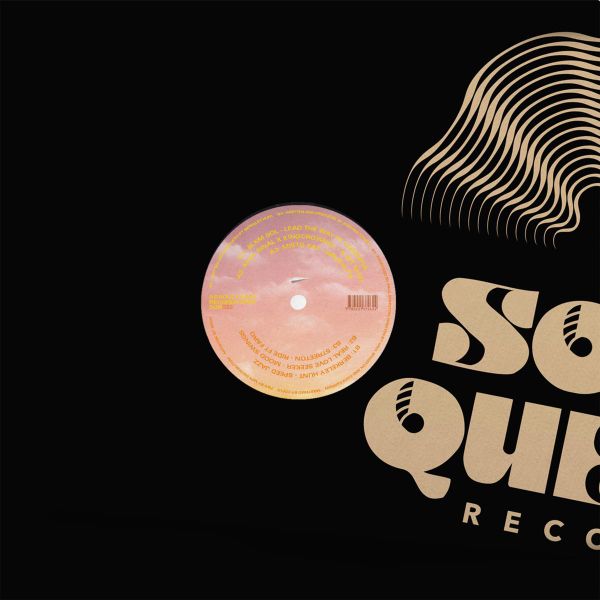Various — Maintain Altitude 2 vinyl cover