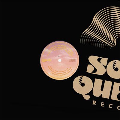 Various — Maintain Altitude 2 vinyl cover