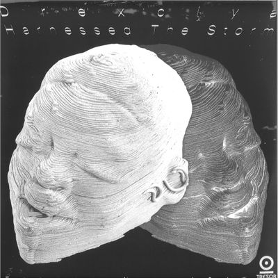 Drexciya — Harnessed The Storm LP 2x12" vinyl cover