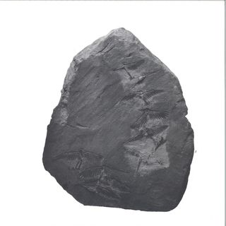 Ignez — Remixes vinyl cover