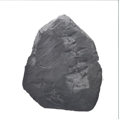 Ignez — Remixes vinyl cover