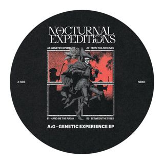 Nocturnal Expeditions
