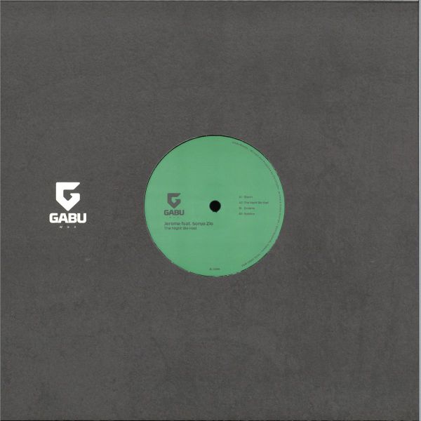 Jerome, Sonya Zlo — The Night We Had vinyl cover