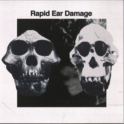 Rapid Ear Damage — R.E.D. LP vinyl cover