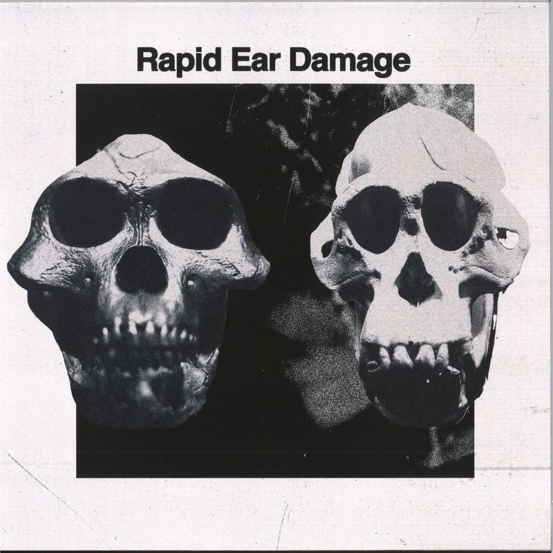 Rapid Ear Damage — R.E.D. LP vinyl cover